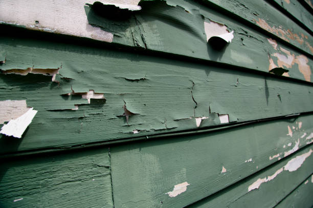 How To Choose The Right Materials for Your Siding Installation in 'Lubeck, WV